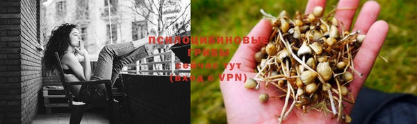 ПСИЛОЦИБИНОВЫЕ ГРИБЫ Братск